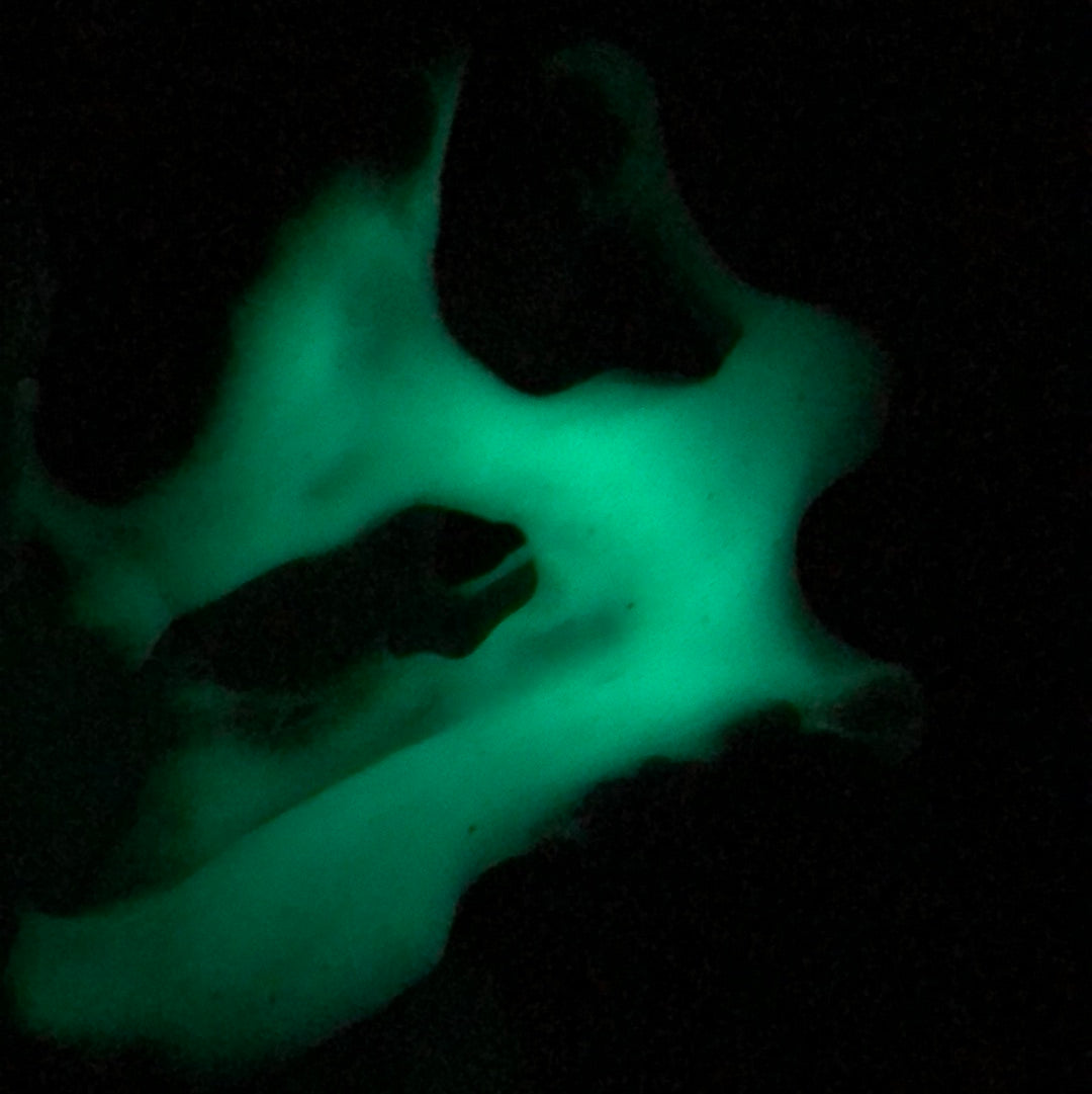 Glow-in-the-dark slime